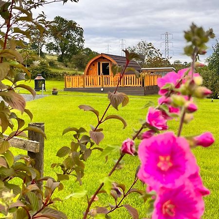 Cairnfold Cabins Kilsyth Exterior foto
