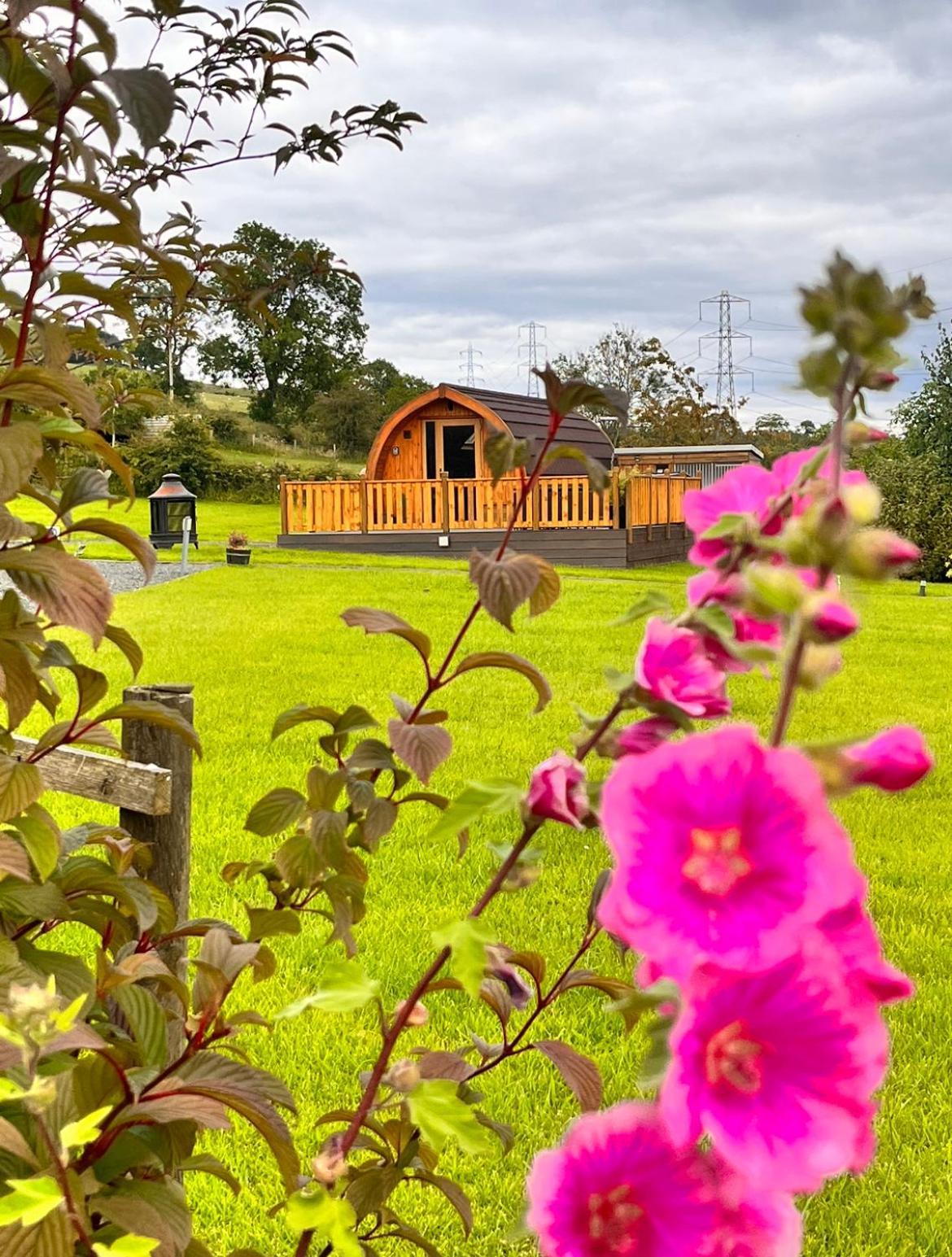 Cairnfold Cabins Kilsyth Exterior foto